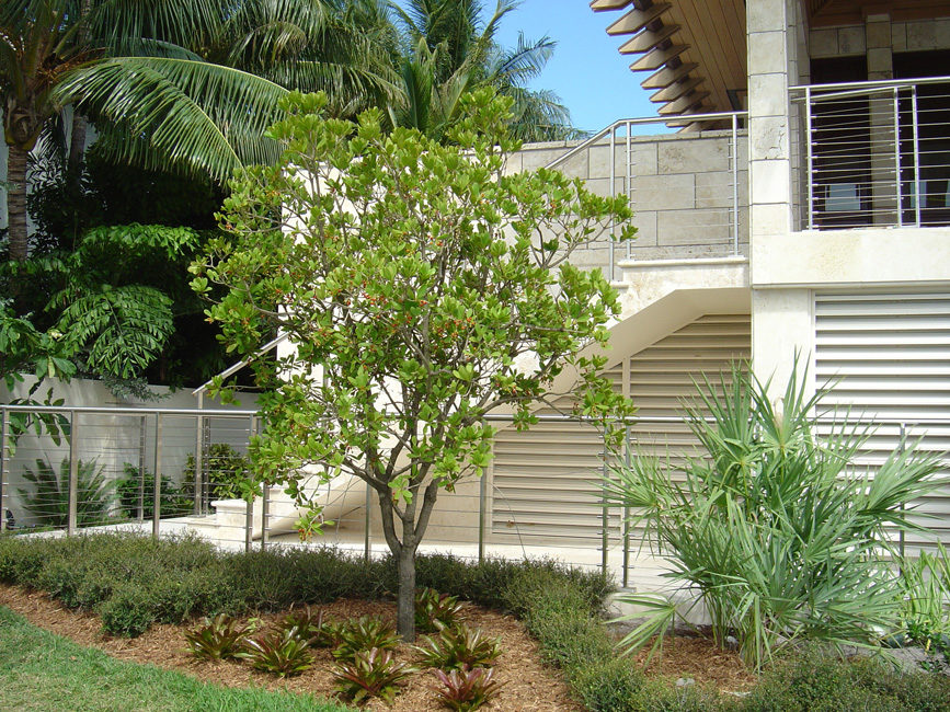 A. Fernandez Residence – Key Biscayne, Florida