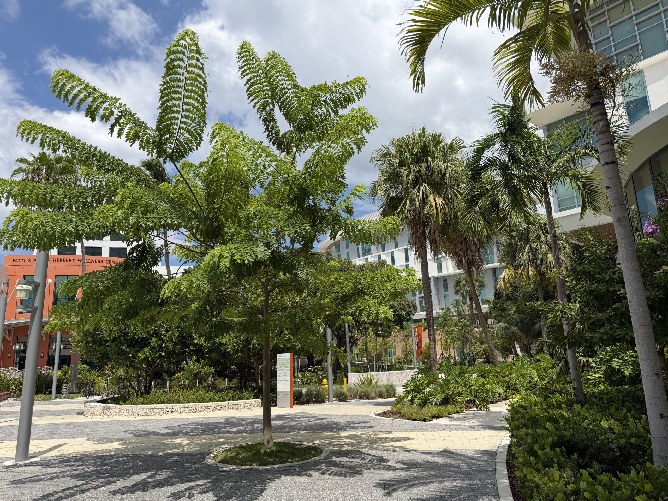 University of Miami – Centennial Village – Coral Gables, Florida