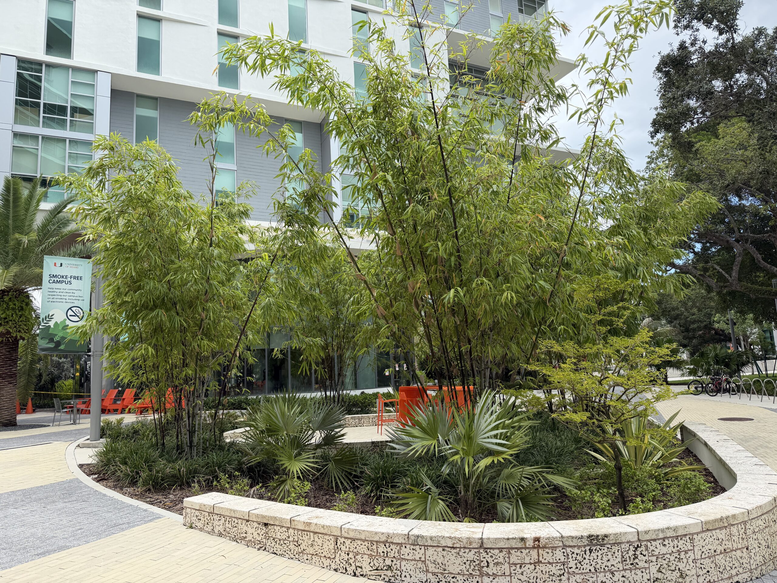 University of Miami – Centennial Village – Coral Gables, Florida