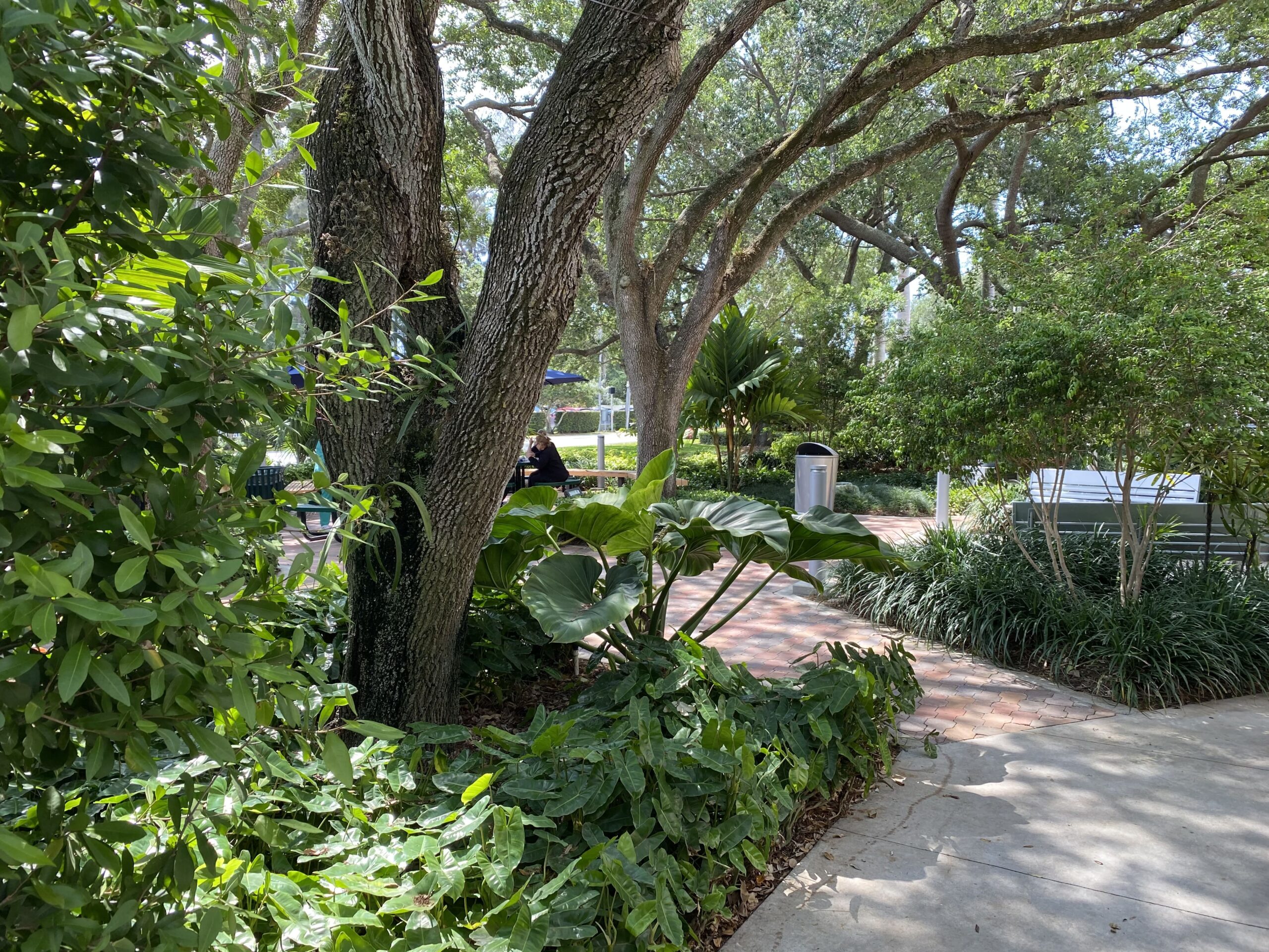 Doctors Hospital (Baptist Health) – Coral Gables, Florida